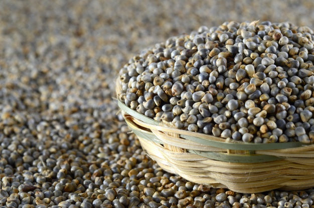 KAMBU (PEARL MILLET)